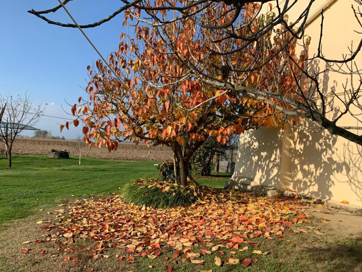Agriturismo Cascina Mariale Albiano dʼIvrea エクステリア 写真